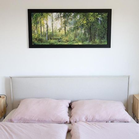 Apartman Na Kamenci Teplice nad Metují Εξωτερικό φωτογραφία